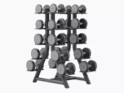 Technogym Vertical Dumbbells Rack 3D model