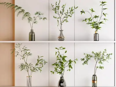 Modern Green Plant with Glass Vase Collection 3D model