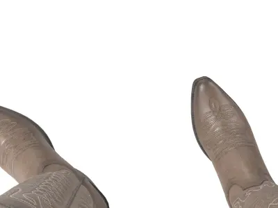 Brown Western Boots(1) 3D model