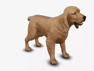 dog cocker spaniel Low-poly 3D model