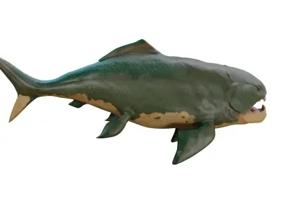 Dunkleosteus Rigged 3d Model Free 3D model