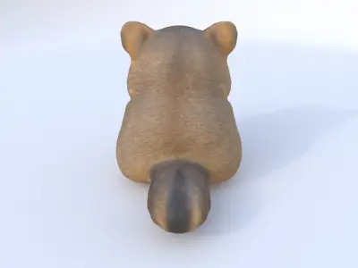 Quokka 3D model