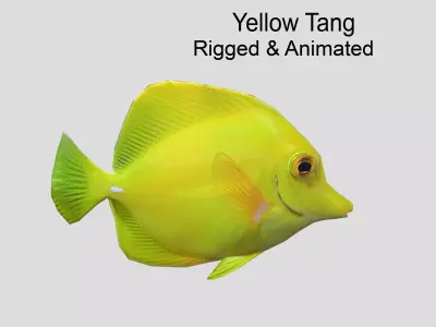 yellow tang Realistic Animated Low-poly 3D model purchase
