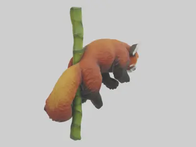 Red Panda climbing bamboo model Low-poly 3D model