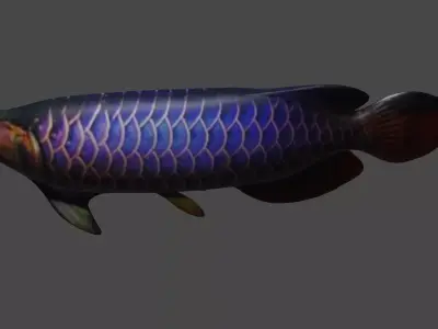 3d fish Low-poly 3D model