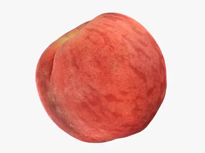 Peach Fruit Collection 3D model
