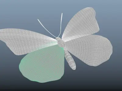 Butterfly with texture 3D model