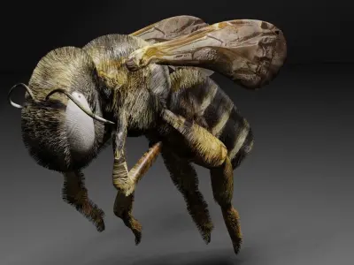 Bee rigged 3D model