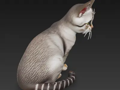 Optimized Low-Poly Kitten 3D Model UE5- Unity Real-Time Ready Low-poly 3D model