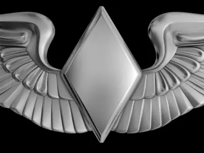 Women Airforce Service Pilot Wings Badge 3D print model