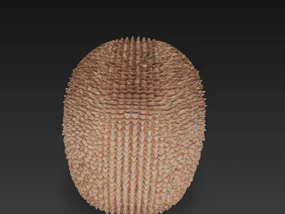 Hedgehog Realistic 3D Model - Low Poly Realistic Low-poly 3D model