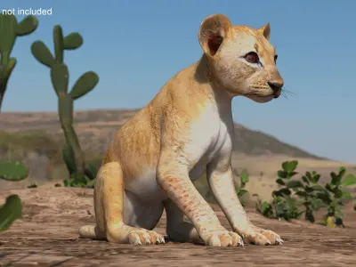 Lion Cub Sitting 3D model