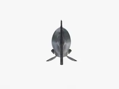 Salmon Lowpoly Animated Low-poly 3D model