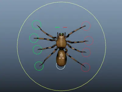 Spider Rig  Low-poly 3D model
