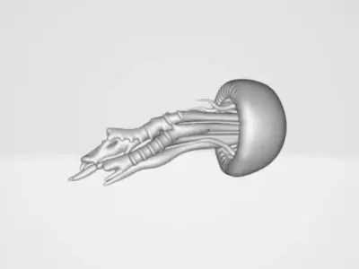 Jellyfish 3D model purchase