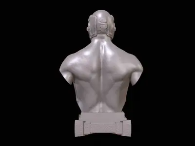 KickBoxer Bust for 3D Print 3D print model