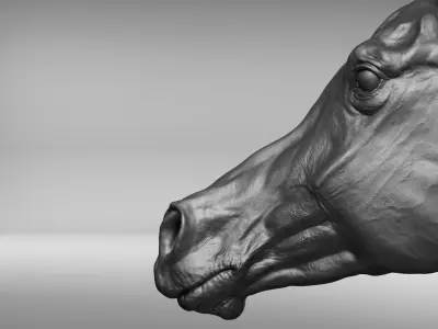  project Arabian horse 