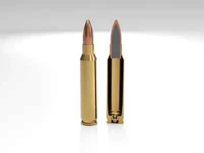 223 cartridge 3D model