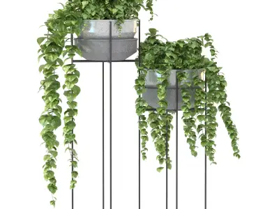 Metal Standing With Money Plant 3D model