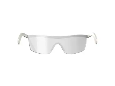 Silver Sports Sunglasses 3D model