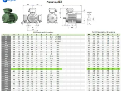 250M B3 Right 2 Pole IEC electric motor - 3D CAD model 3D model