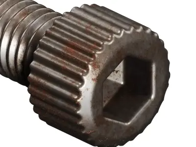 Rusty Steel Socket Bolt 3D model