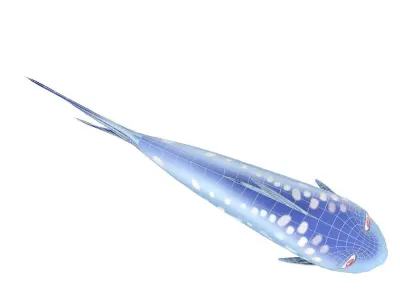 Milkfish Chanidae Fish Cartoon Animated Low-poly 3D model