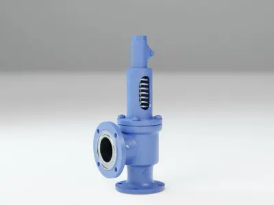 Safety valve 3D model order