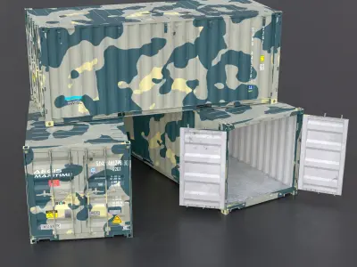 20ft Cargo Container Camo Low-poly 3D model