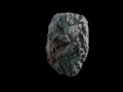 Anydrafts Salix matsudana Burl 02 Low-poly 3D model