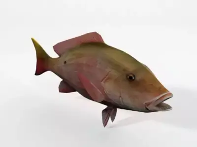 Snapper fish Low-poly 3D model
