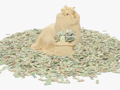  Money Bags Collection V40 