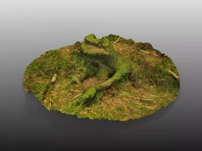 Forest Tree Stump 4K -Part 1-   Free low-poly 3D model