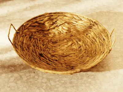  Banana Leaf Weaved Basket Model 