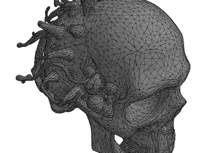 Cybernetic SciFi Skull Concept Low-poly 3D model