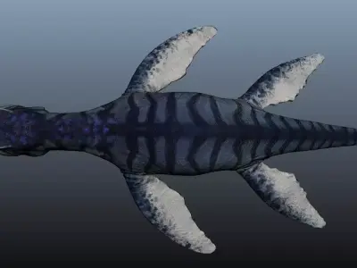 Liopleurodon dinosaur 3D model
