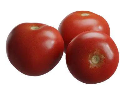  Cherry Tomato Models  buy