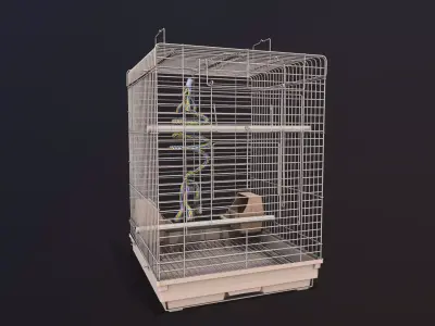 Bird Cage 3D model 5