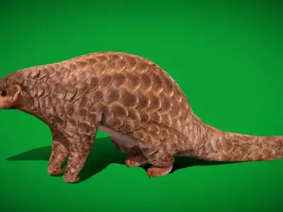 Pangolins Scaly Anteater Free low-poly 3D model