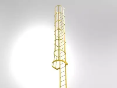 Flat bar cage ladder Free 3D model