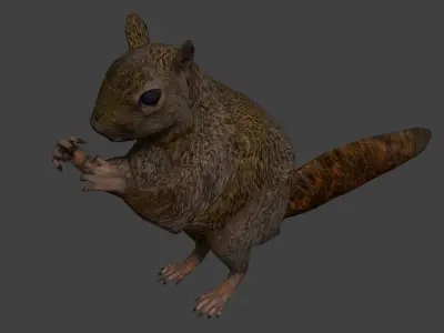 Squirrel Low-poly 3D model get