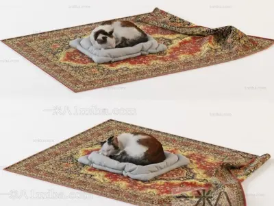 cat animal Free 3D model purchase