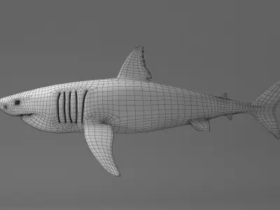 Great White Shark Low-poly 3D model 13