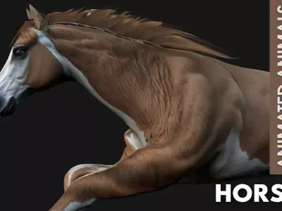 Horse A3 Free 3D model