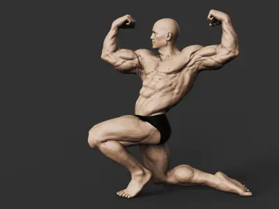 Bodybuilder 3D print model buy