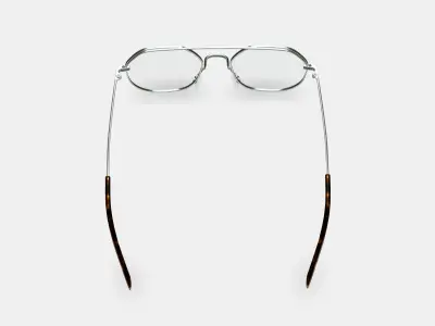 Renaldo Eyeglasses in Antique Silver 3D model