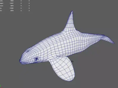Orca wheel Rig Optimize game ready for unreal and unity Low-poly 3D model