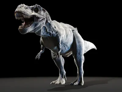 Dinopack Medium Static 3D model