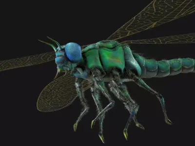 Meganeura Low-poly 3D model