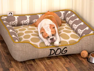 Bulldog Rigged for Maya 3D model